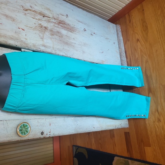 SOFT SURROUNDINGS PANTS - Picture 1 of 9